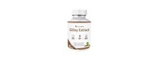 Nutripath Giloy Extract 40%- 1 Bottle 